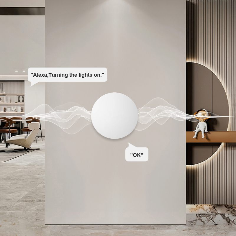 สวิตช์ควบคุมฉากไร้สาย ZigBee ส - Home Office Google บทวิจารณ์และราคา
